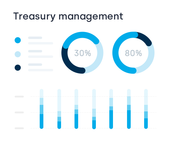 全球支付与财资管理服务商